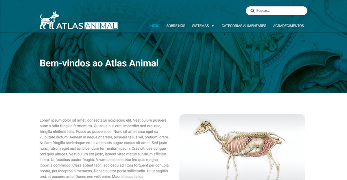 Atlas Animal